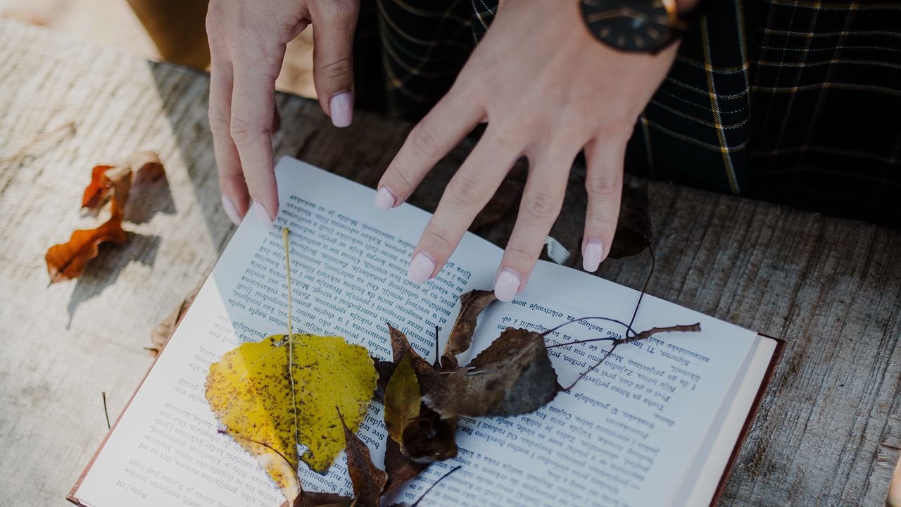 Wallpaper book, leaves, hands, autumn, aesthetics