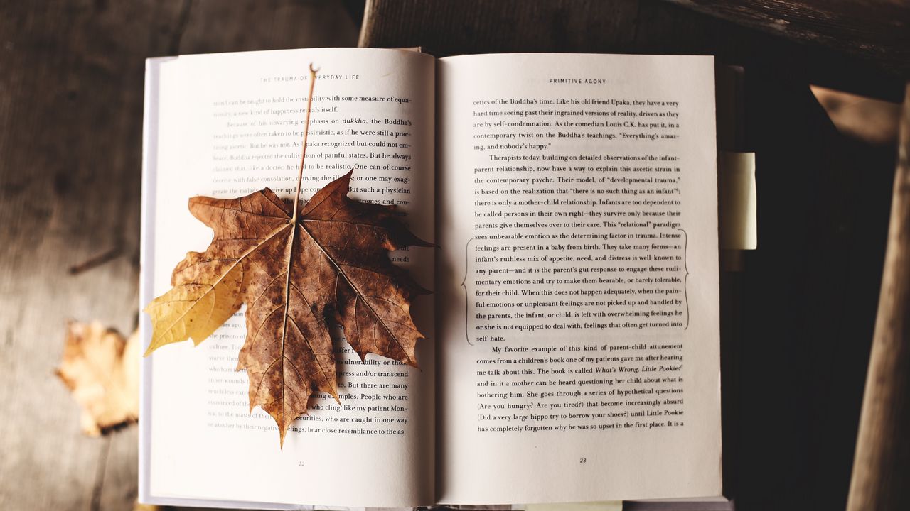 Wallpaper book, maple, leaf, autumn