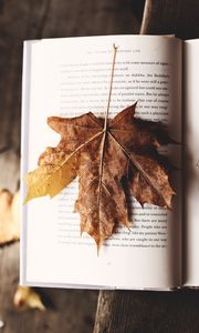 Preview wallpaper book, maple, leaf, autumn