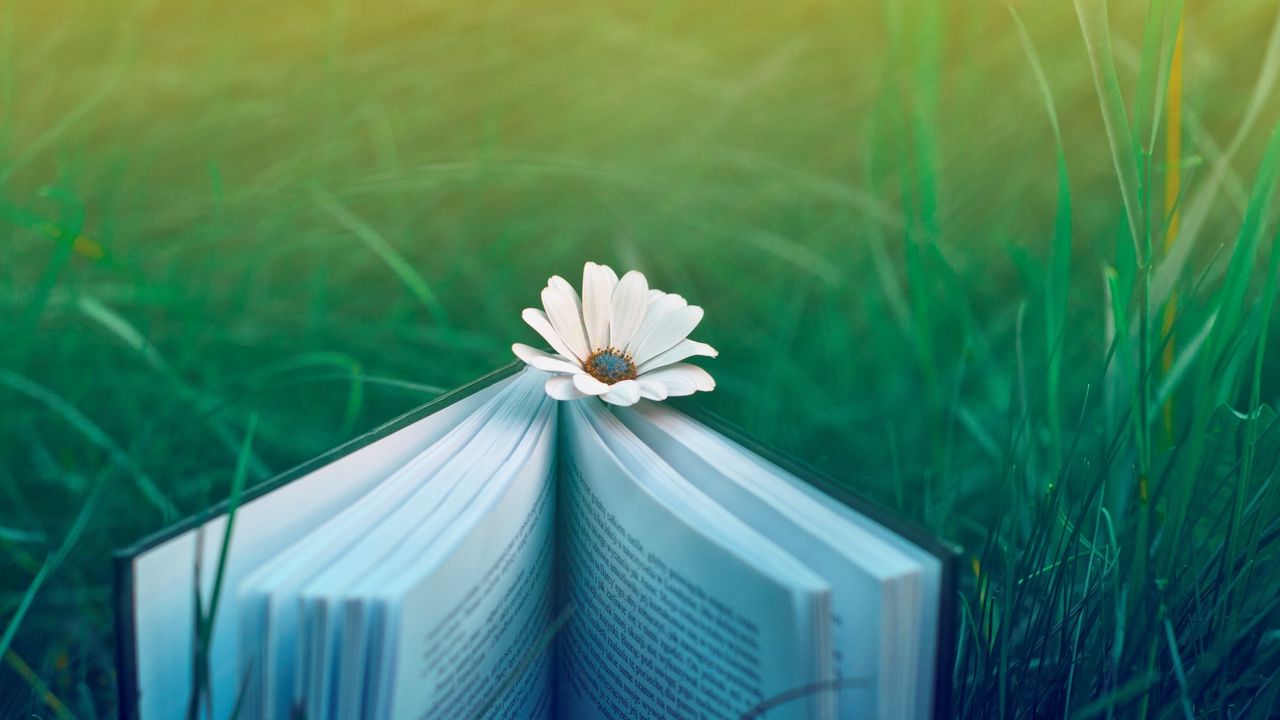 Wallpaper book, mood, nature, grass, flowers