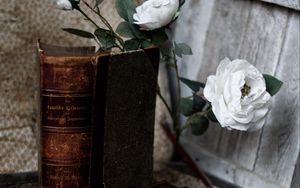 Preview wallpaper book, old, roses, flowers