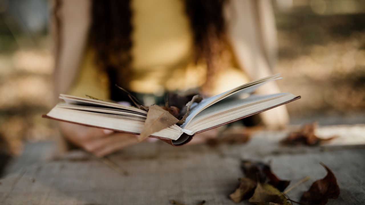 Wallpaper book, pages, leaves, autumn, aesthetics