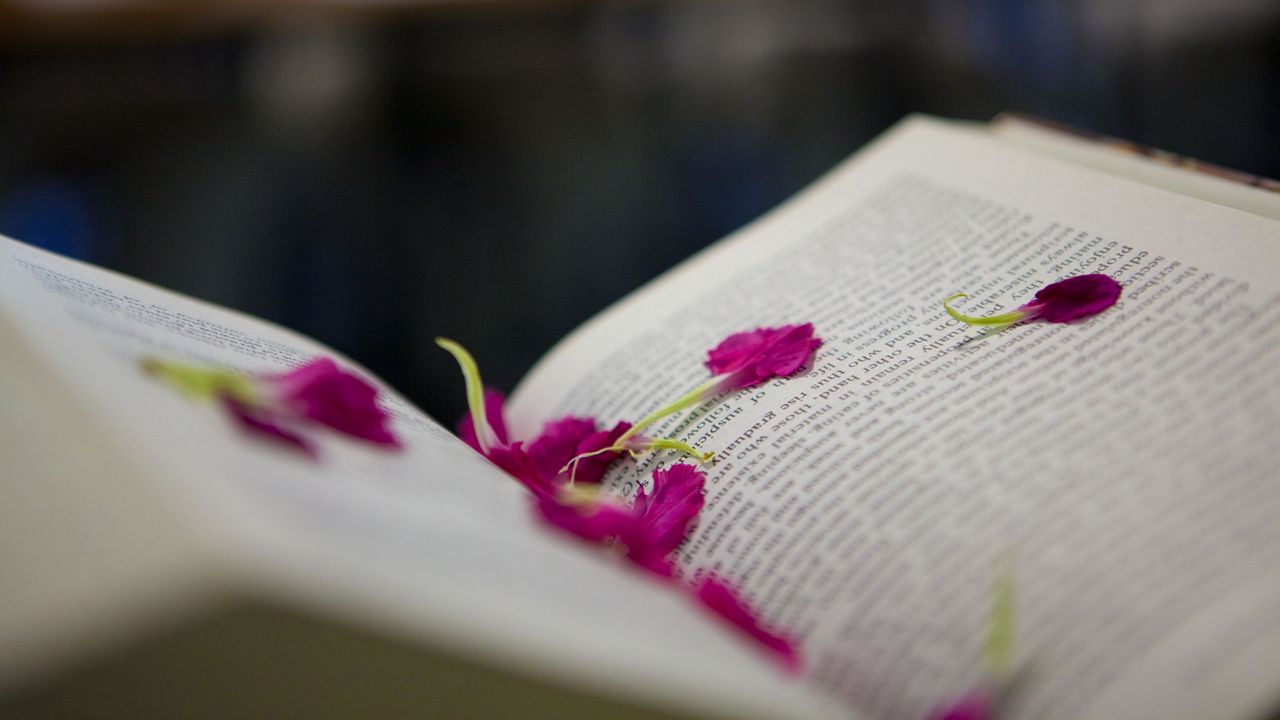Wallpaper book, petals, flower