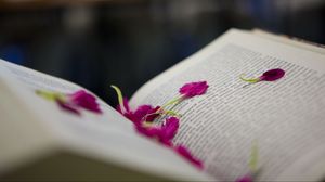Preview wallpaper book, petals, flower