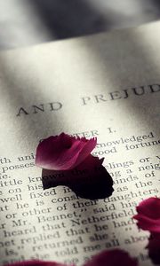 Preview wallpaper book, petals, text, shadow