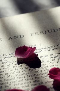 Preview wallpaper book, petals, text, shadow