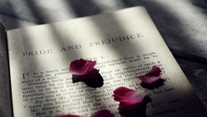 Preview wallpaper book, petals, text, shadow