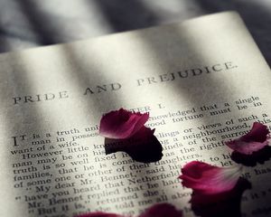 Preview wallpaper book, petals, text, shadow