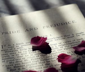 Preview wallpaper book, petals, text, shadow