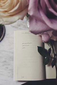 Preview wallpaper book, quote, roses, flowers