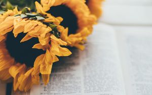 Preview wallpaper book, reading, sunflowers, flowers, aesthetics