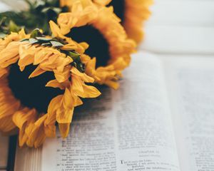 Preview wallpaper book, reading, sunflowers, flowers, aesthetics