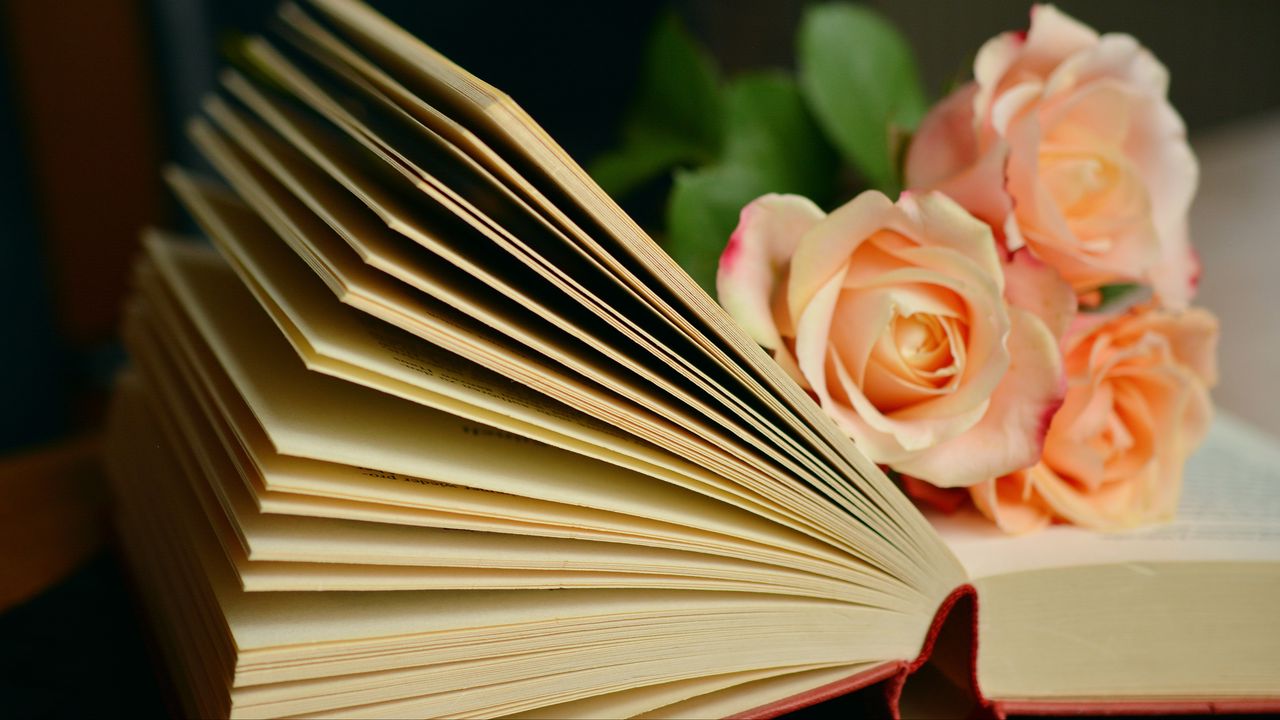 Wallpaper book, roses, bouquet, reading