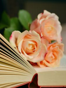 Preview wallpaper book, roses, bouquet, reading