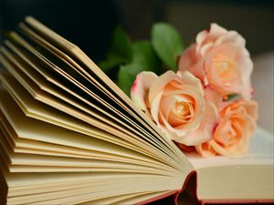 Preview wallpaper book, roses, bouquet, reading