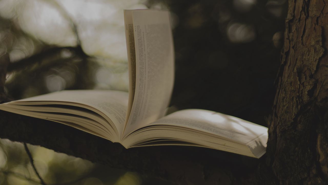 Wallpaper book, tree, branch, blur