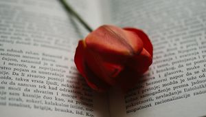 Preview wallpaper book, tulip, flower, red