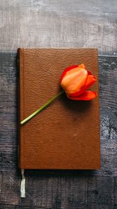Preview wallpaper book, tulip, flower