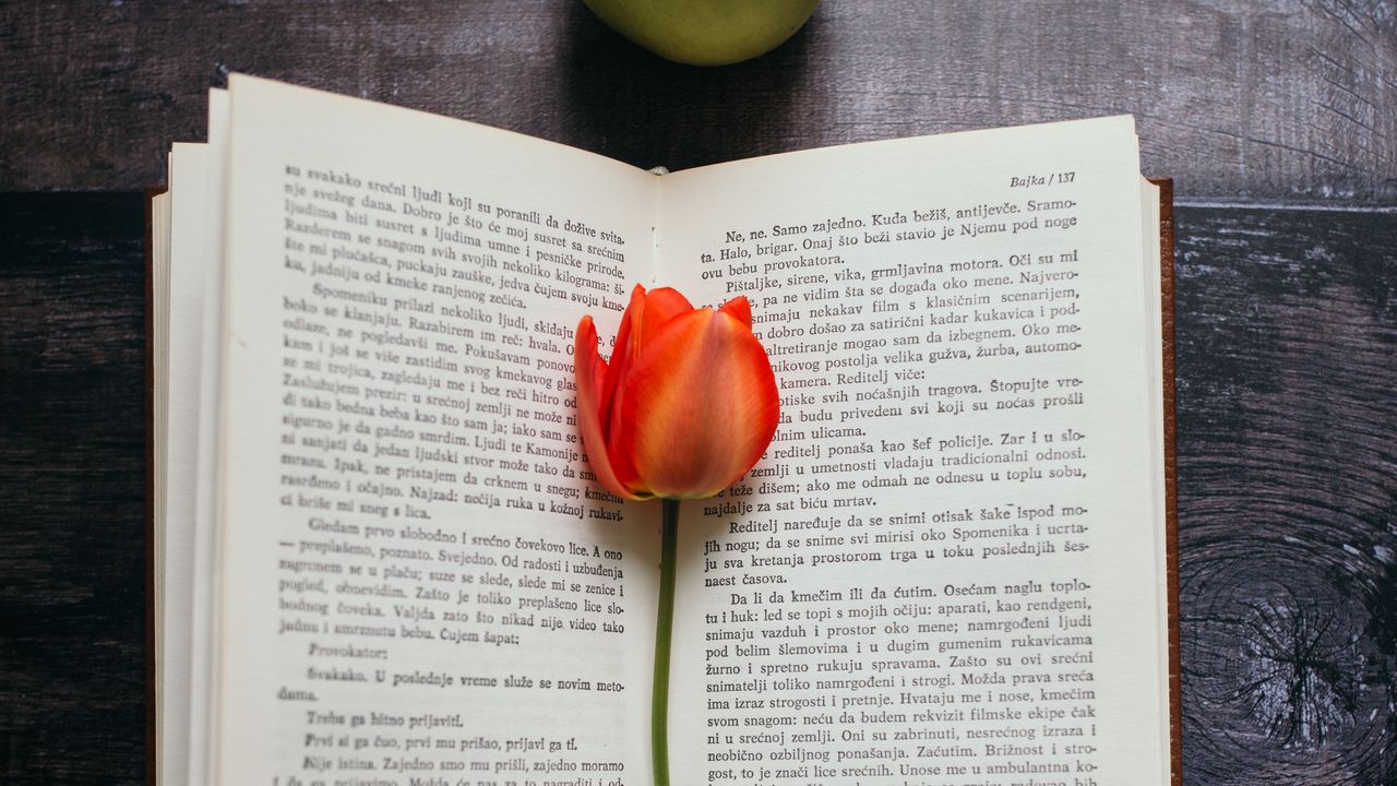 Wallpaper book, tulip, flower, apples, composition