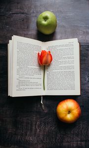 Preview wallpaper book, tulip, flower, apples, composition