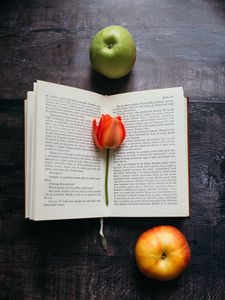 Preview wallpaper book, tulip, flower, apples, composition