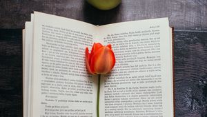 Preview wallpaper book, tulip, flower, apples, composition