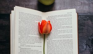 Preview wallpaper book, tulip, flower, apples, composition
