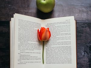 Preview wallpaper book, tulip, flower, apples, composition