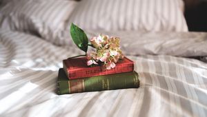 Preview wallpaper books, flowers, bed, inspiration