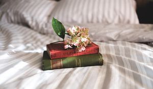 Preview wallpaper books, flowers, bed, inspiration