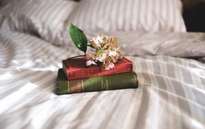 Preview wallpaper books, flowers, bed, inspiration