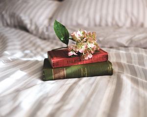 Preview wallpaper books, flowers, bed, inspiration