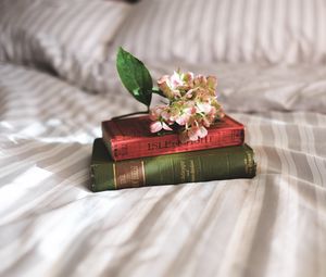 Preview wallpaper books, flowers, bed, inspiration