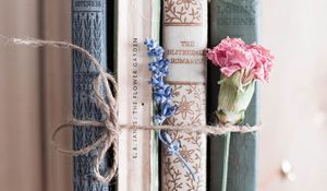 Preview wallpaper books, flowers, rope