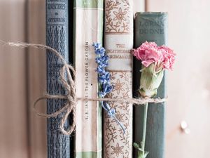 Preview wallpaper books, flowers, rope