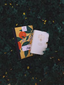 Preview wallpaper books, foliage, flowers, reading