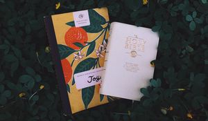 Preview wallpaper books, foliage, flowers, reading