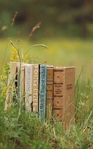 Preview wallpaper books, grass, stack, mood