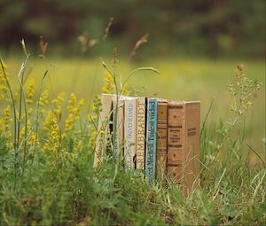 Preview wallpaper books, grass, stack, mood