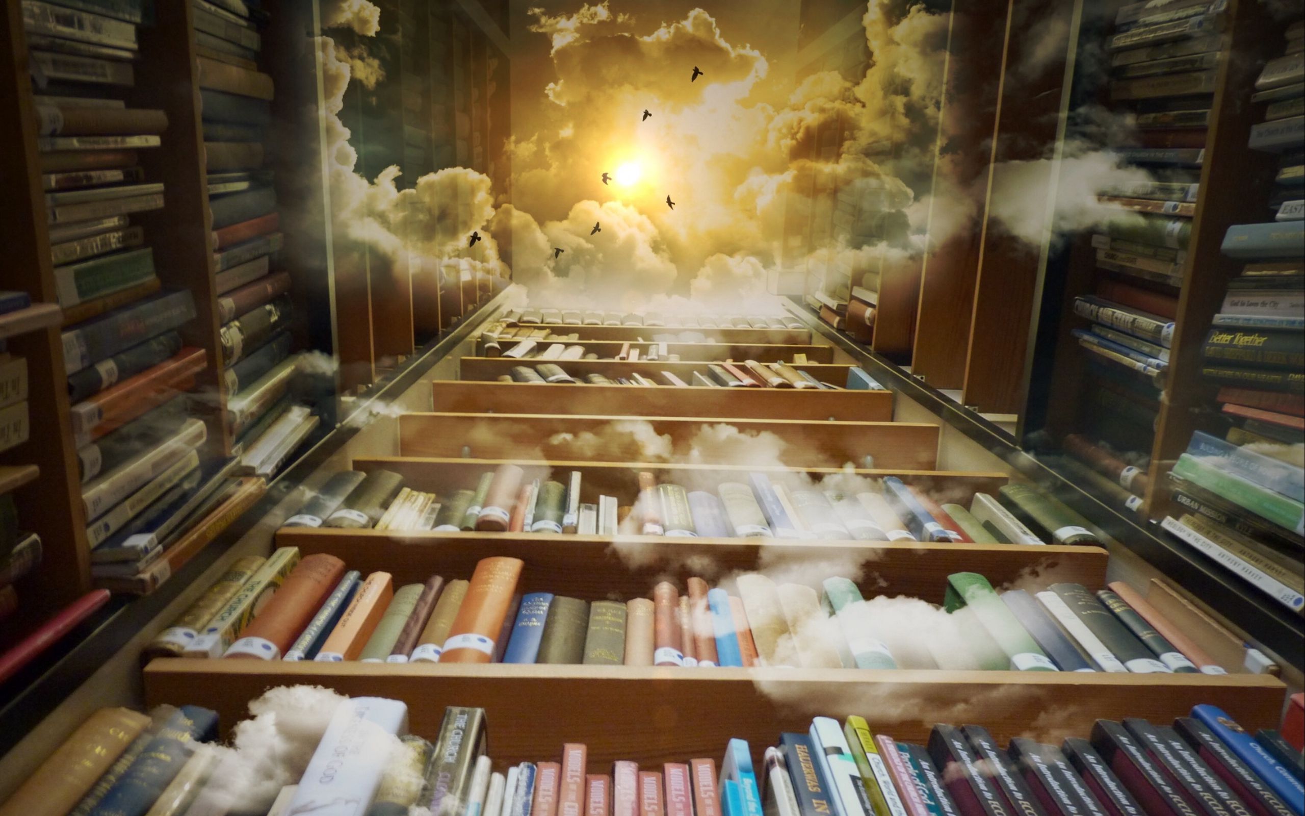 2560x1600 Wallpaper books, library, photoshop, shelves, clouds, reading, flight