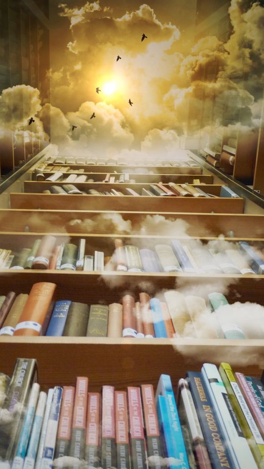 540x960 Wallpaper books, library, photoshop, shelves, clouds, reading, flight