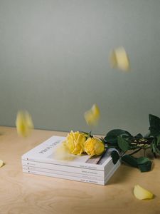 Preview wallpaper books, roses, flowers, petals