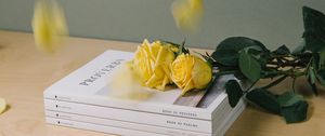 Preview wallpaper books, roses, flowers, petals