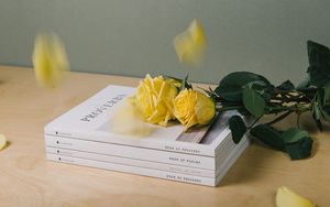 Preview wallpaper books, roses, flowers, petals