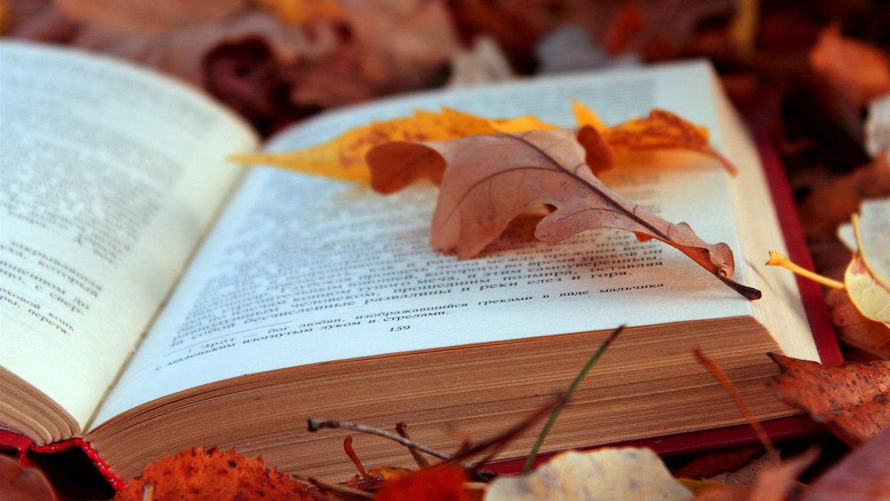 Wallpaper books, texts, leaves, autumn, foliage, pages