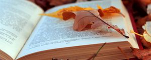 Preview wallpaper books, texts, leaves, autumn, foliage, pages