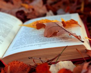 Preview wallpaper books, texts, leaves, autumn, foliage, pages