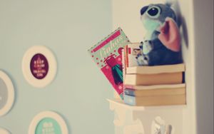 Preview wallpaper books, toys, shelf