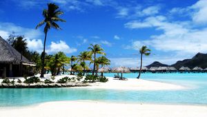 Preview wallpaper bora bora, island, palm trees, gulf, transparent water, huts