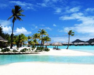 Preview wallpaper bora bora, island, palm trees, gulf, transparent water, huts